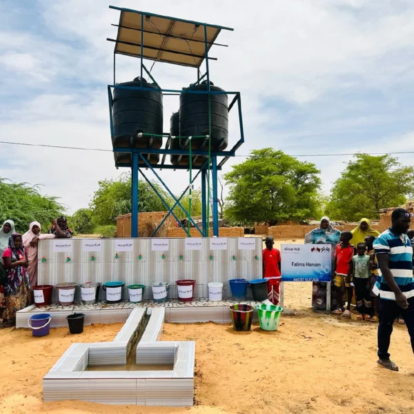 Solar electric pump well with tanks for two villages in Niger